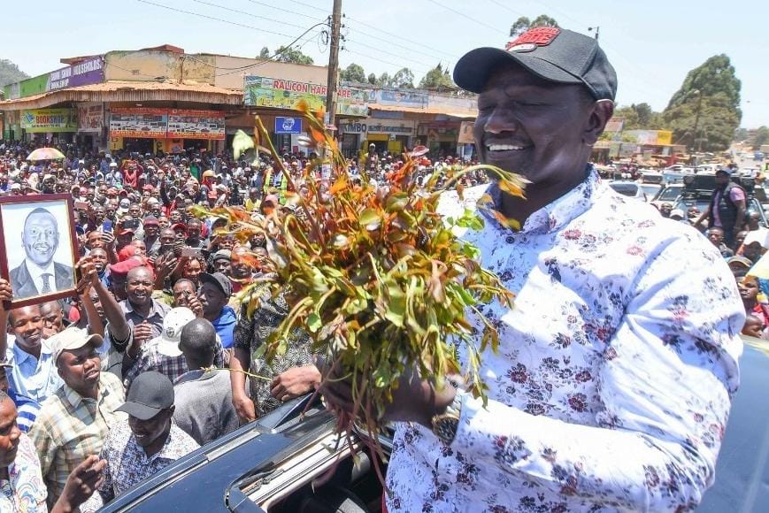 File image of President William Ruto carrying Miraa.